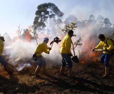 prevenção_incêndio_floresta_fogo_chama_vegetação_reserva_ambiental_ambientais_previncêndio_apagar_brigadista_-_cred_Sisema-Divulgação_(343243)