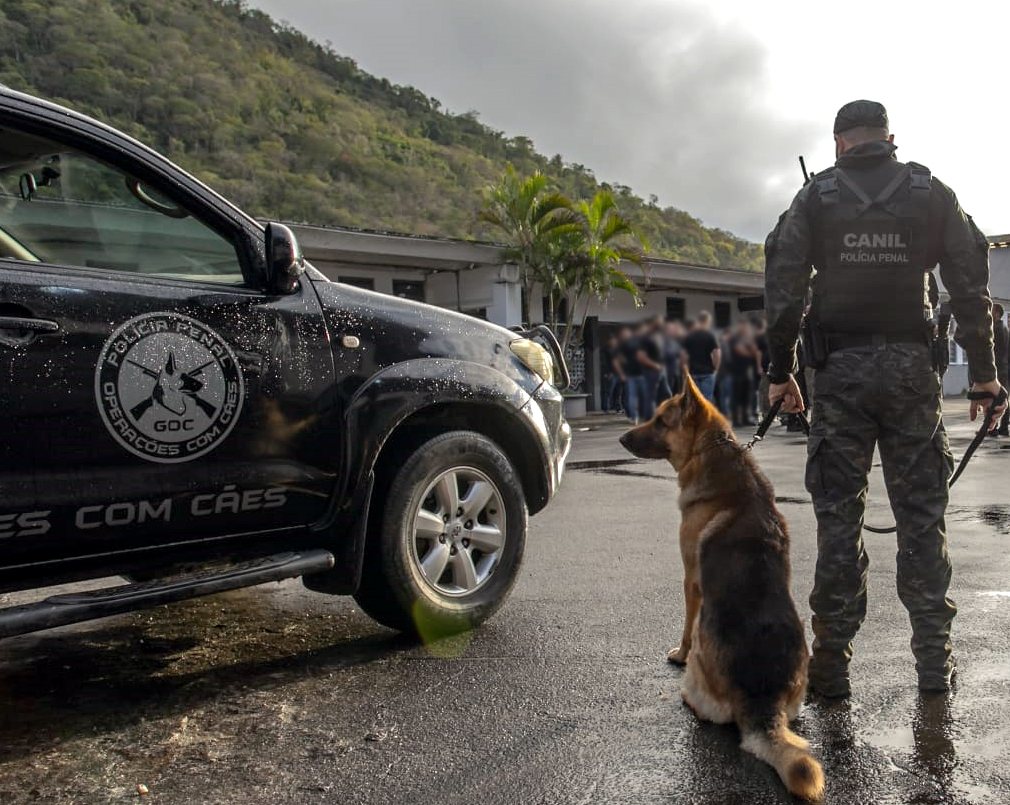 Agentes da Seap apreendem drogas e celulares em presídios