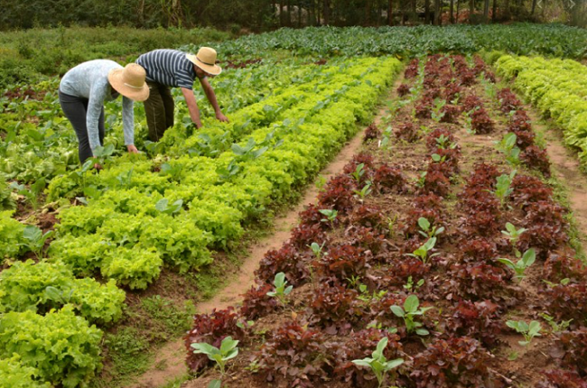 Contrapartida da Garantia Safra para agricultura familiar