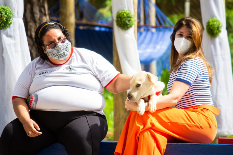 Cãoterapia, uma ideia bem-sucedida contra a ansiedade na escola