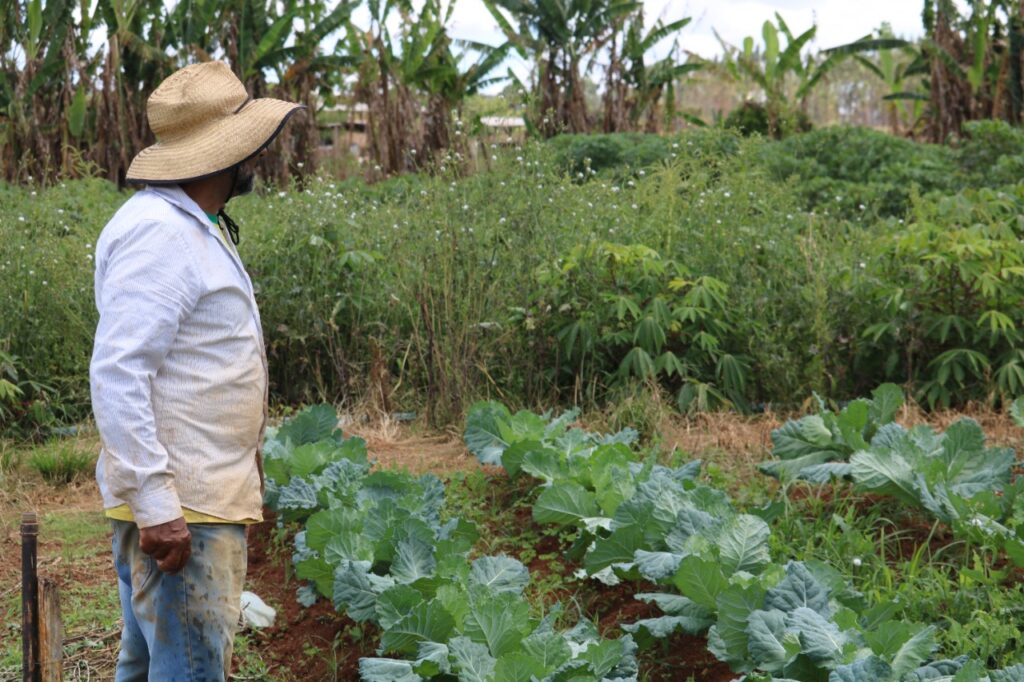 Prospera aprova mais R$ 600 mil para pequenos produtores