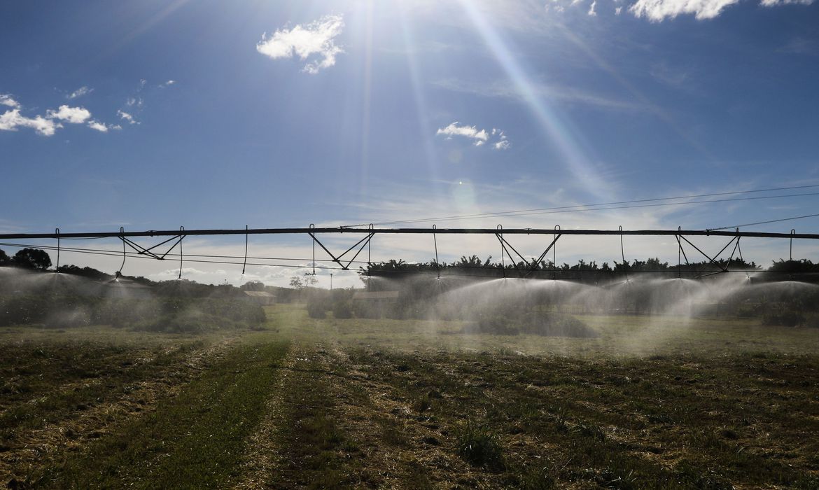 MAPA entrega primeira etapa de plataforma para controle agropecuário