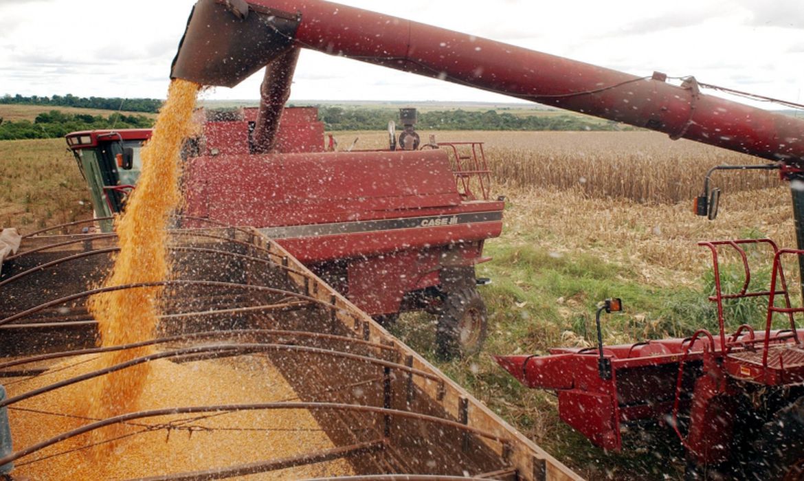 Produção de grãos na safra 2021/2022 pode chegar a 270,2 milhões de toneladas, projeta Conab