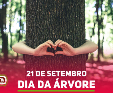 dia_da_arvore