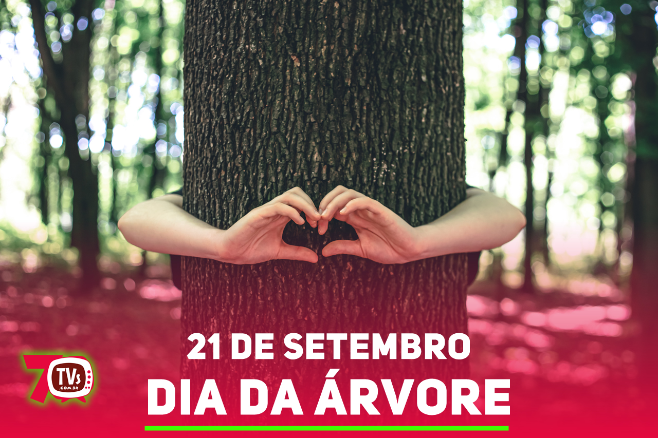 O Dia da Árvore é comemorado no Brasil em 21 de setembro