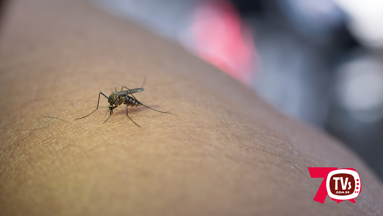 Monte Belo MG confirma morte de uma mulher de 79 anos por consequência da Dengue