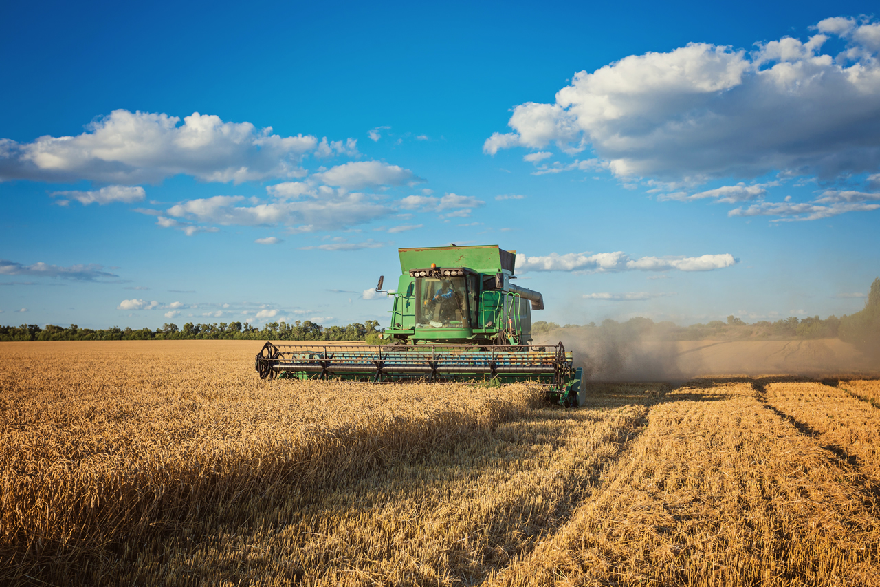 AGRO: simplificação de impostos e direito de propriedade estão entre temas prioritários para o setor