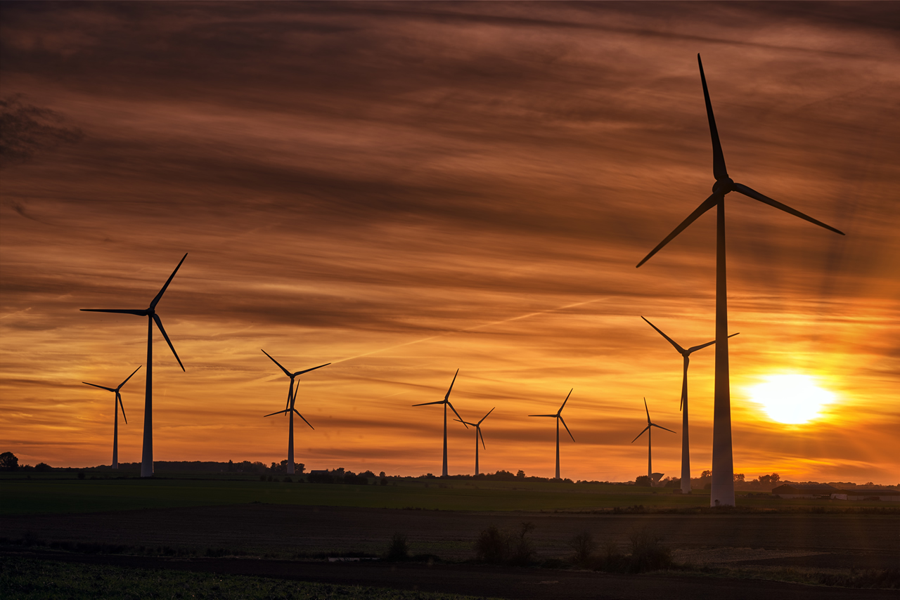 Energia renovável: o paradoxo da sobra de energia limpa no país