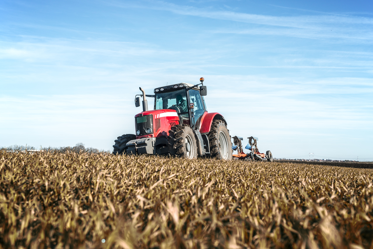 Agro eleva PIB de 2023, soja e milho lideram a produção mundial