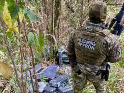 operacao_protetor_policia_apreende_1.350_kg_de_maconha_em_cruzeiro_do_oeste_e_guaira-1