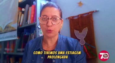 A estiagem e a falha na florada estão impactando os negócios dos cafeicultores brasileiros