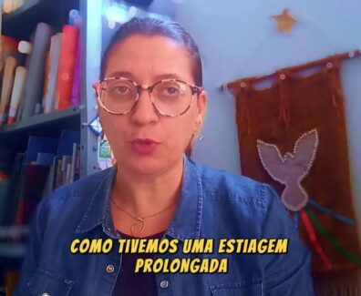 A estiagem e a falha na florada estão impactando os negócios dos cafeicultores brasileiros