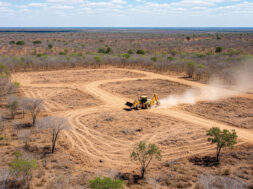 desmatamento-minasgerais