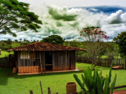 Polícia: Caso Natasha: polícia prende terceiro suspeito de assassinato em Passos, MG