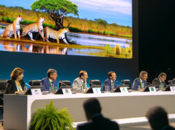 Biodiversidade: Mato Grosso do Sul sedia encontro global pré-COP15 sobre espécies migratórias