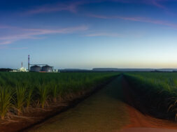 Mato Grosso do Sul prevê safra recorde de etanol em 2025/2026