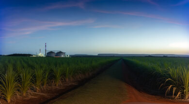 Mato Grosso do Sul prevê safra recorde de etanol em 2025/2026