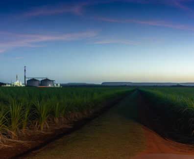 Mato Grosso do Sul prevê safra recorde de etanol em 2025/2026