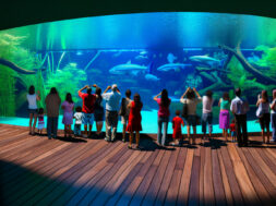 Bioparque Pantanal: quatro anos de inovação e destaque internacional