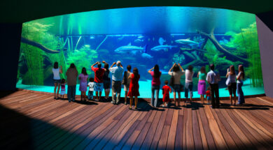 Bioparque Pantanal: quatro anos de inovação e destaque internacional