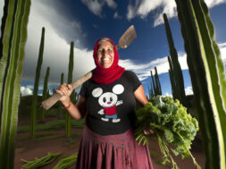 Plataforma Semiáridos da AL sedia debate internacional sobre clima, governança e alimentos no Recife