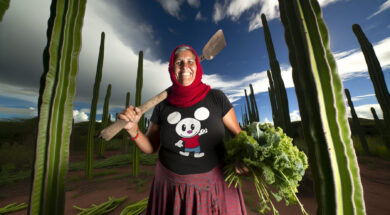 Plataforma Semiáridos da AL sedia debate internacional sobre clima, governança e alimentos no Recife