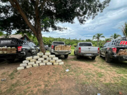 Apreensão de drogas em sítio do Maranhão desarticula rota de abastecimento para Teresina