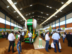 Inovação e resiliência impulsionam o agronegócio em Mato Grosso do Sul